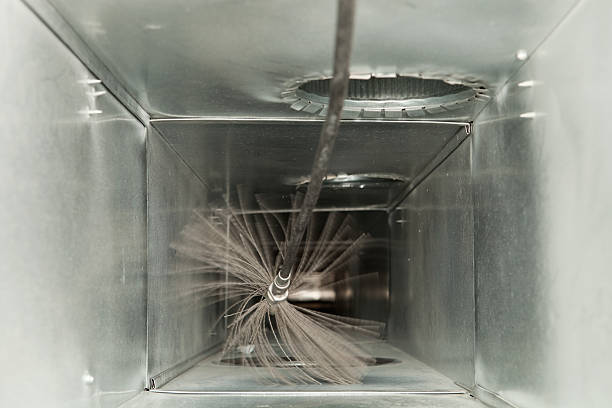 Best Air Duct Mold Removal  in Fitchburg, MA